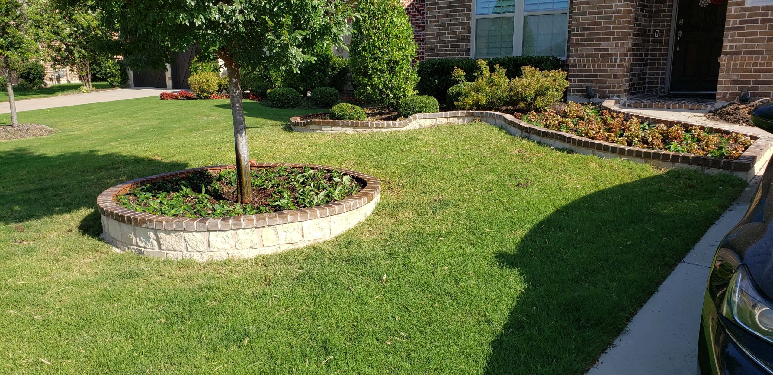 Why Lawn Fertilization Is Crucial for a Healthy Yard: Insights from Greenstone Landscaping